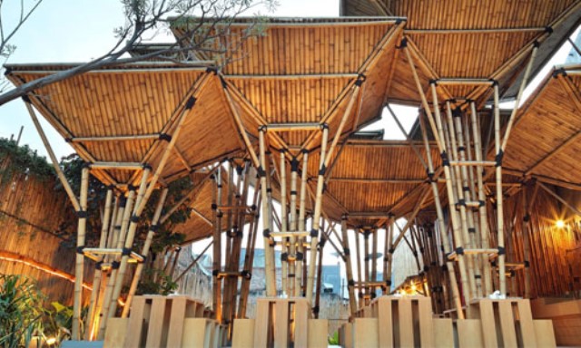  Il mondo del bambù: un futuro possibile e sostenibile
