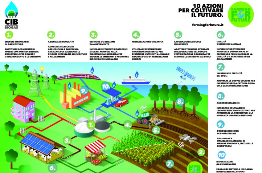  “Farming for Future”: le 10 azioni CIB per  coltivare il futuro