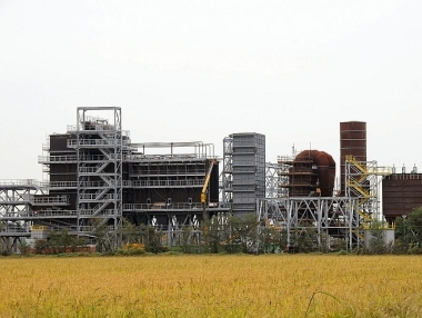  Grandi impianti a biomasse legnose: un danno per le rinnovabili