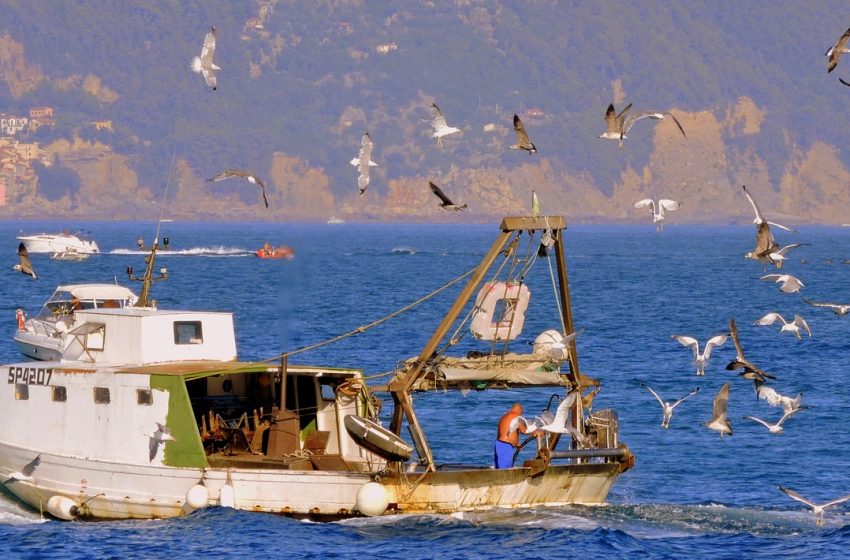  Fondo per la Pesca 2021 – 2027. Rafforzare la sostenibilità del mare