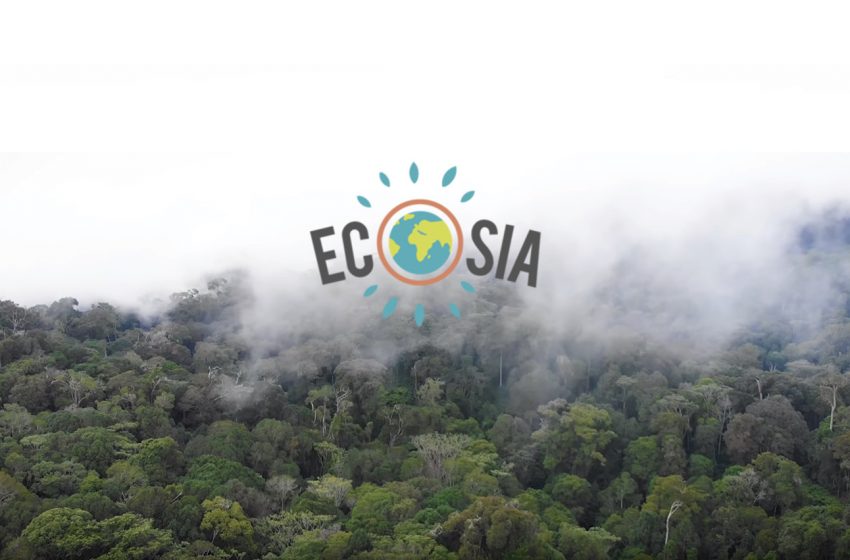  Ecosia: il motore di ricerca green che pianta alberi