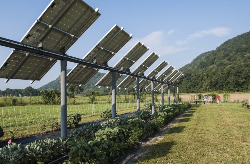  Agro-fotovoltaico: presentate le linee guida