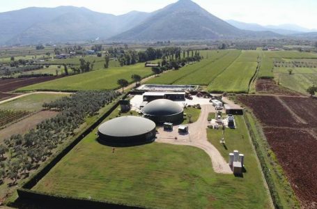 Decreto bollette: meno tasse per biogas aziende agricole