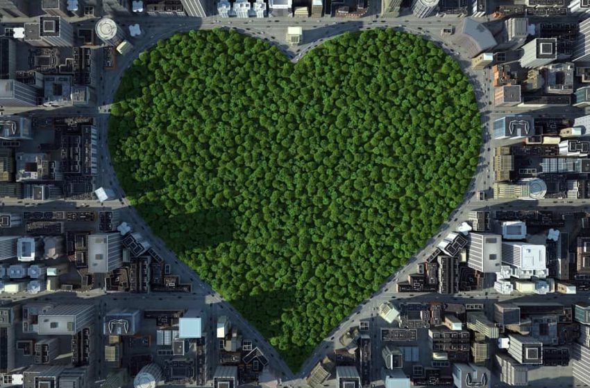  Gli alberi in città salvano vite: lo studio di ISGlobal
