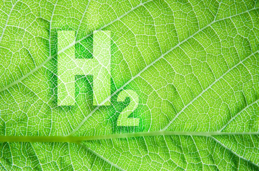  Idrogeno verde: un aiuto dagli enzimi naturali