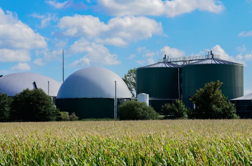  Impianti biogas: arrivano i prezzi minimi garantiti