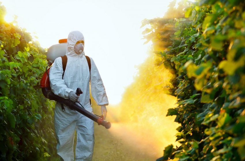  Raggi ultravioletti per dimezzare l’uso dei pesticidi