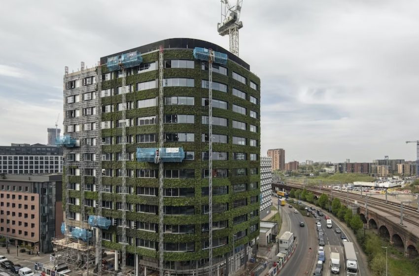  Green Building: è “Eden” l’edificio più sostenibile del UK