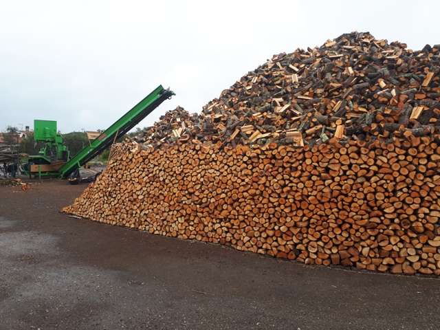  Il valore delle biomasse nella EU: opportunità per imprese agro-industriali. Focus su ENABLING