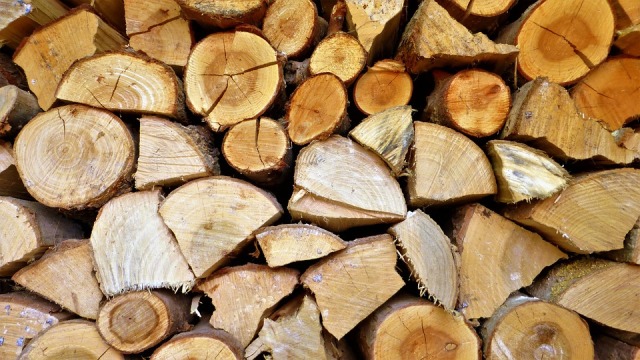  Pellet e legna per riscaldarsi nel rispetto dell’ambiente: i consigli di Luca Mercalli sul sito AIEL