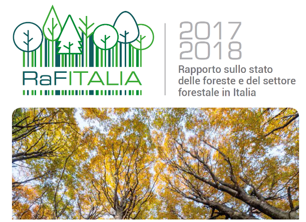  Foreste d’Italia: un terzo del territorio nazionale, con crescita in rallentamento