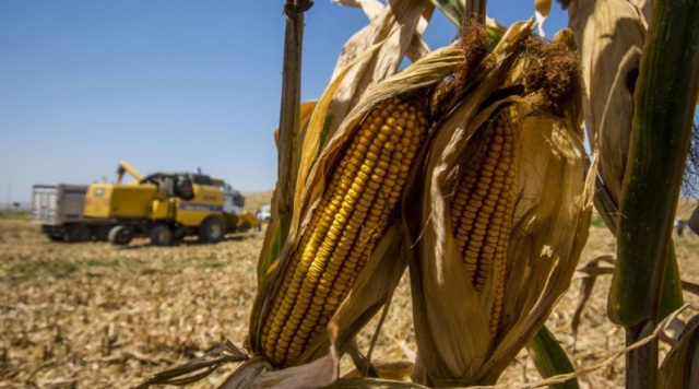 Cambiamenti climatici: una minaccia per agricoltura e zootecnia del Sud Europa