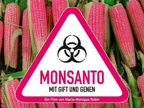 “Il mais Ogm è veleno”. Studio choc in Francia, allarme del governo e della Ue