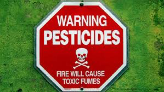  Pesticidi: guida illustrata FAO e ILO per proteggere i bambini