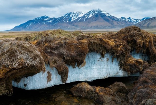  Cambiamenti climatici: le disastrose conseguenze dello scioglimento dei ghiacci