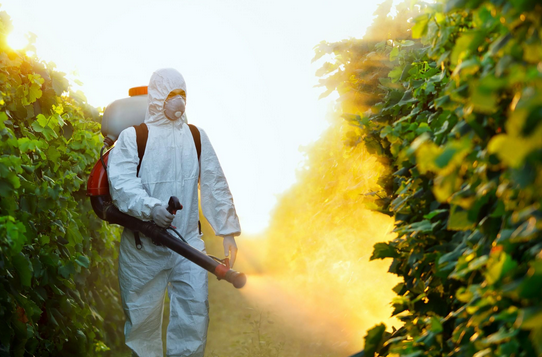  NO OGM, ma non dimentichiamoci dei pesticidi