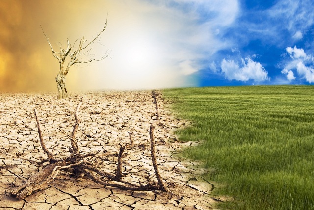  Catastrofi naturali: Desertificazione e siccità si fanno avanti