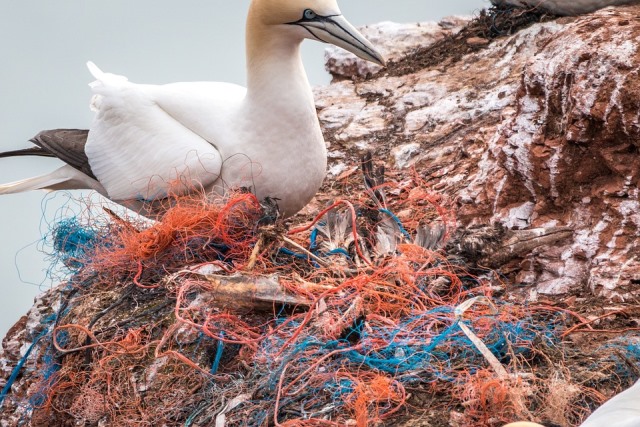  Inquinamento marino: 14 tonnellate di rifiuti pescati in Adriatico con un progetto europeo