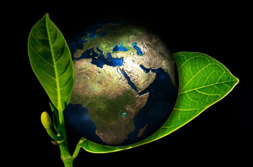  Campagna elettorale senza ambiente (o quasi): cosa dicono i partiti sull’ecologia