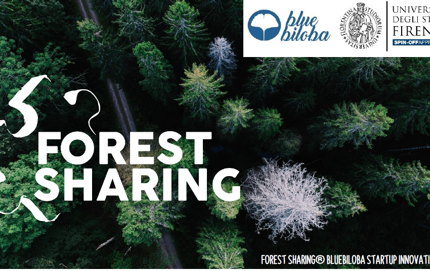  Forest Sharing: una nuova startup per creare una community dei boschi