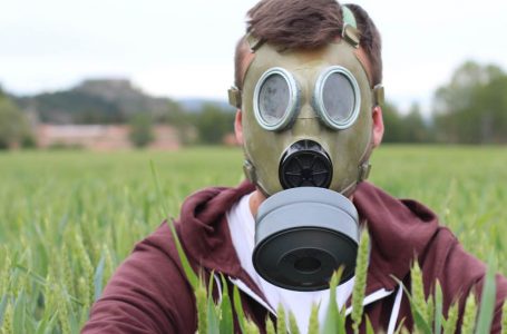 Man wearing breathing mask in wheat field.