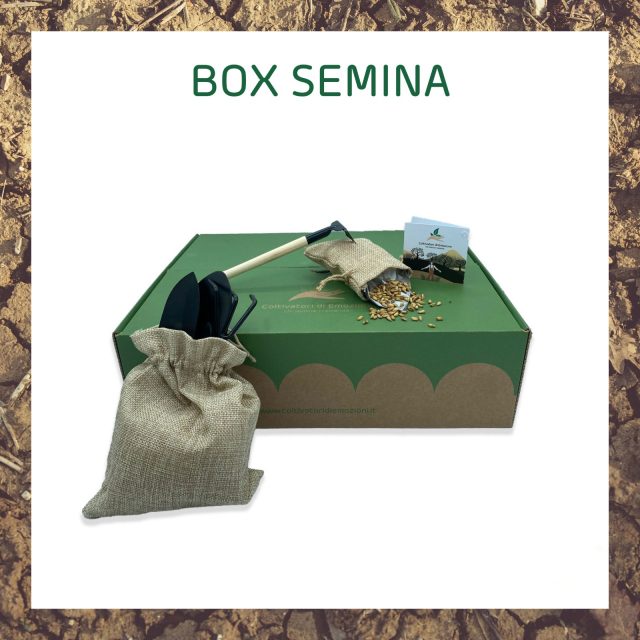 BOX SEMINA
