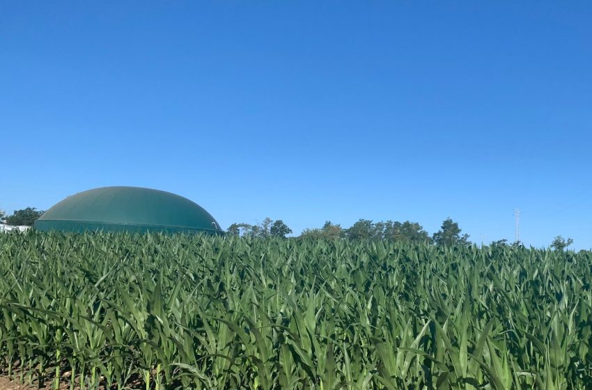  Biogas e biometano agricolo: Sud strategico