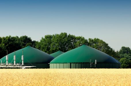 biometano biogas CIB