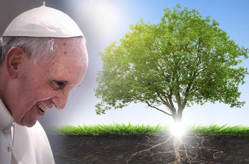  Papa Francesco: messaggio per la cura del Creato