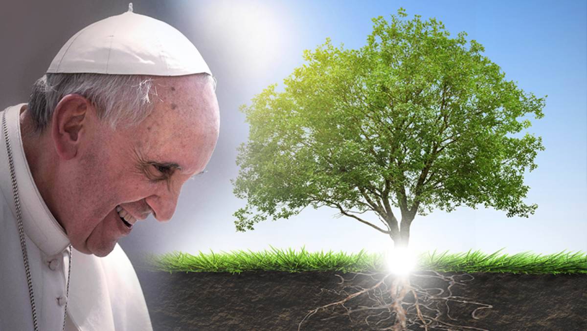 Papa Francesco: messaggio per la cura del Creato - Ecquologia²