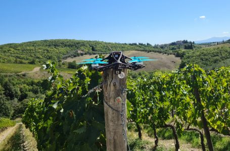DigiViT webinar: viticoltura digitale in Toscana