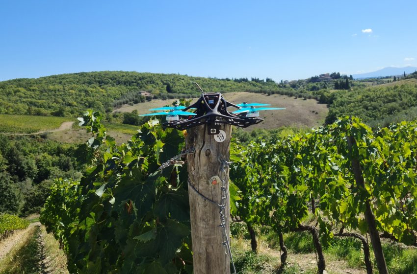  DigiViT webinar: viticoltura digitale in Toscana