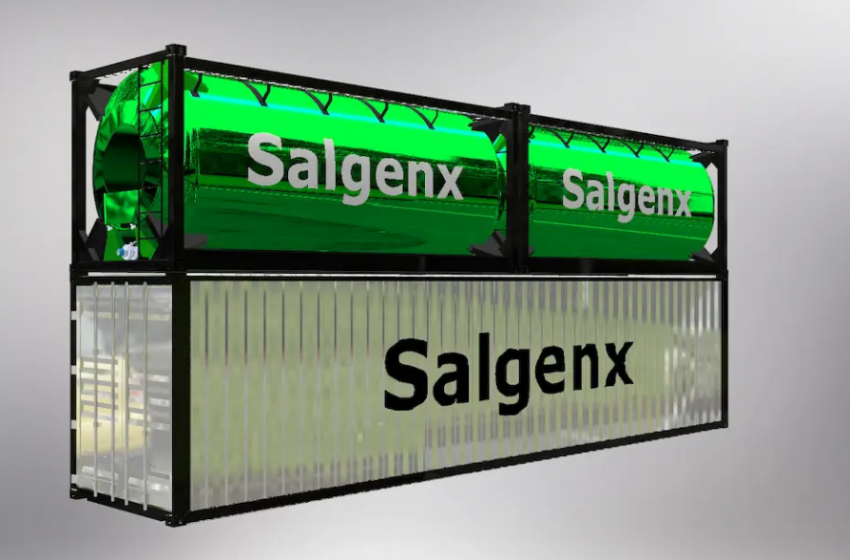  Batterie di flusso ad acqua salata: Salgenx S3000