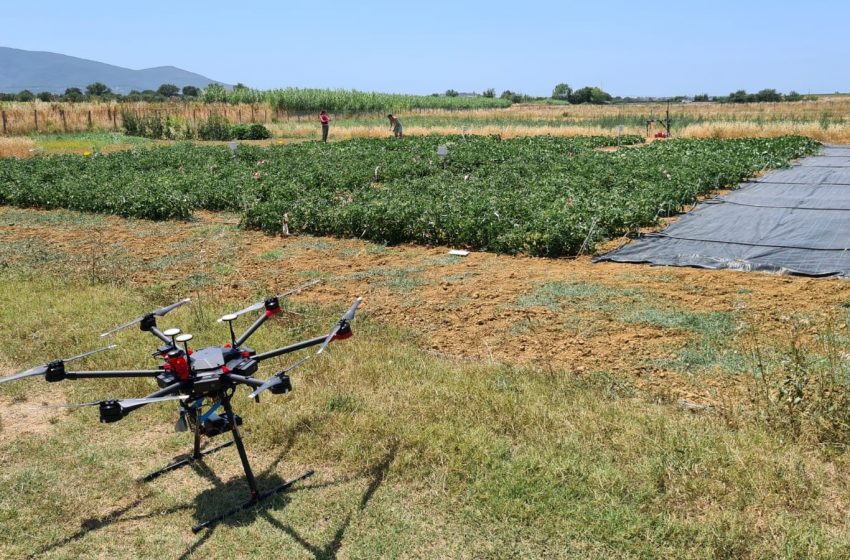  Dati Project: tecnologie avanzate per l’agricoltura digitale