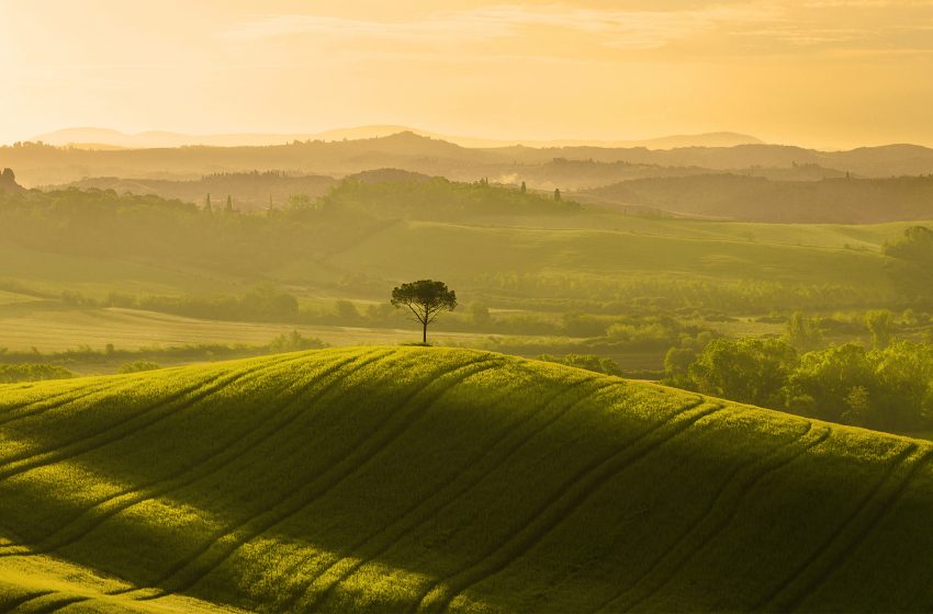  Rapporto Bes: il benessere equo e sostenibile in Italia