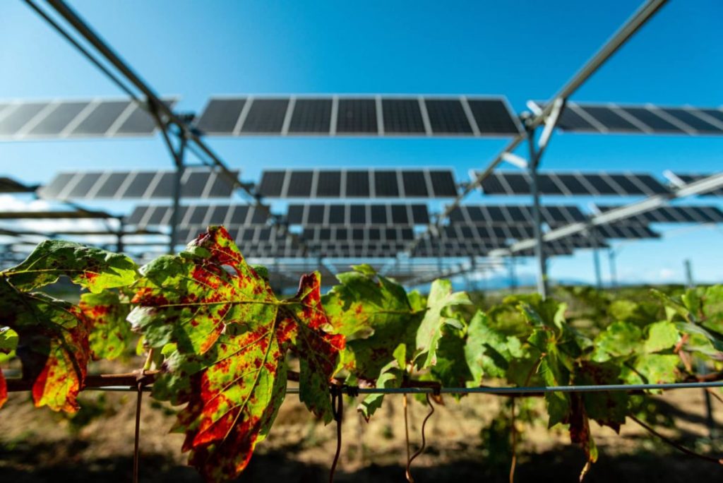 agrivoltaico