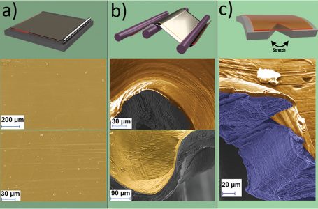 SEM characterization of PTMSP coated lithium foil
