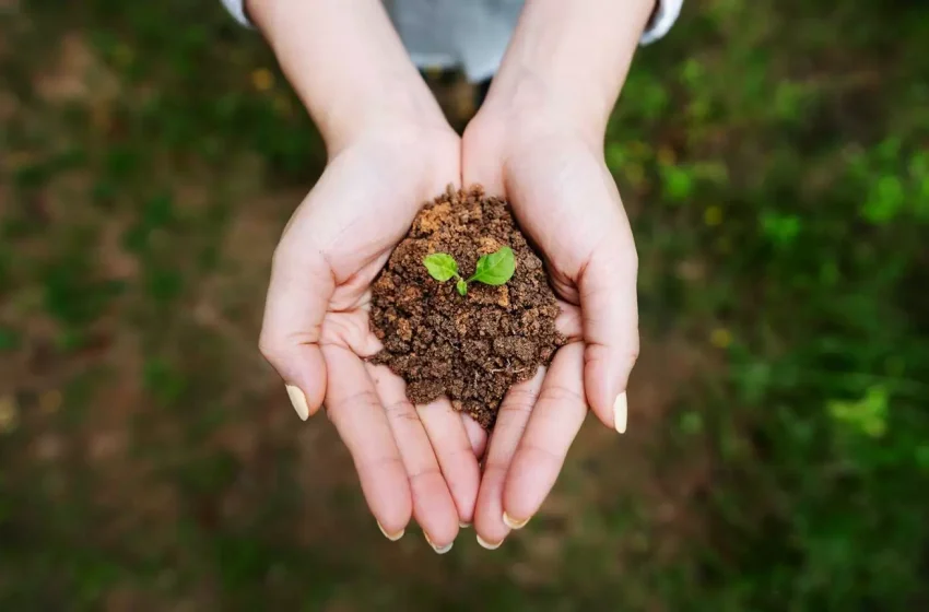  Agricoltura 4.0: ecco “Soil health” per migliorare la salute del suolo