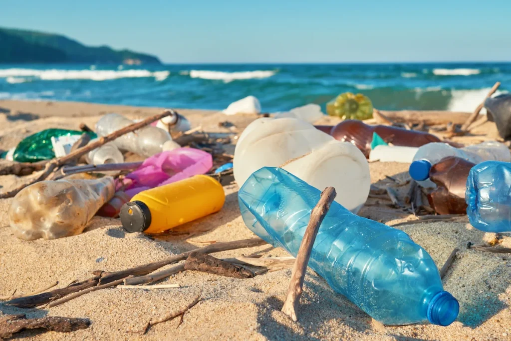 plastic free