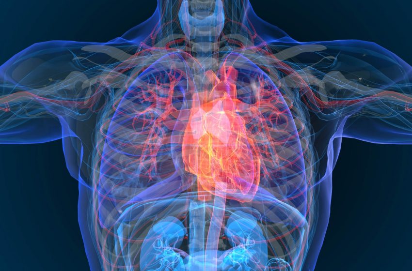  Le Microplastiche raddoppiano il rischio di infarto e ictus