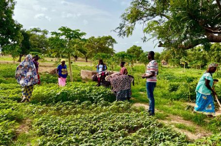 Burkina Faso: Donne ed Agroecologia