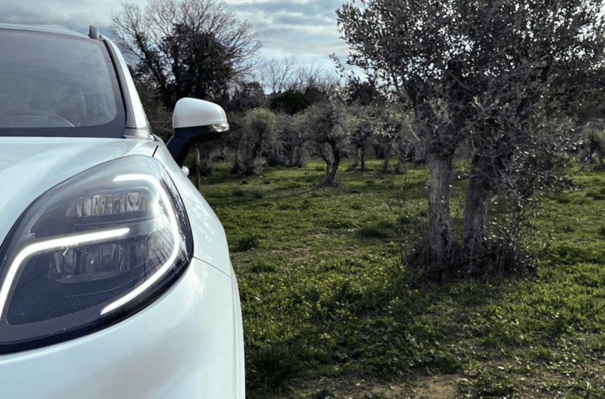  COMPOlive: scarti delle olive per le componenti auto