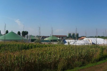 Biogas: delibera ARERA sui prezzi minimi garantiti
