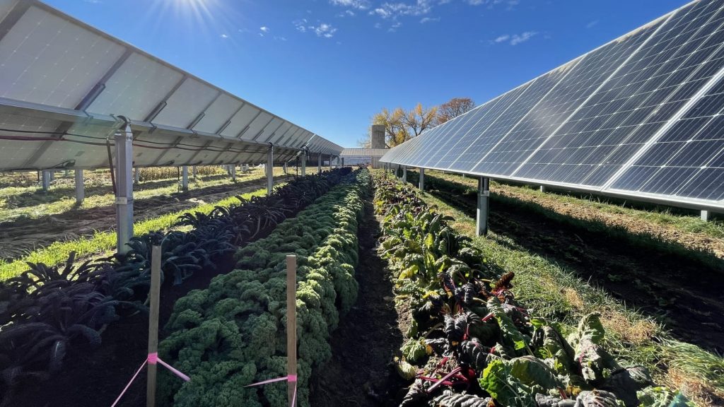 agrivoltaico