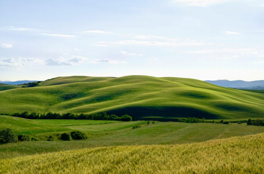  Farming for Future: innovazione e ricerca per l’agricoltura