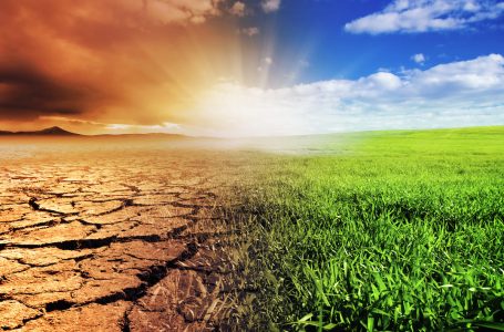 Adattamento climatico: le sfide per le imprese
