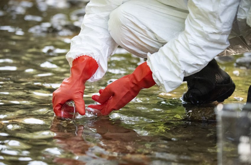 Un carbone attivo superfine per decontaminare l’acqua dai pesticidi
