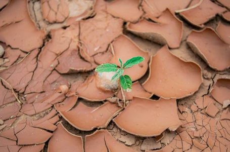 Cambiamenti Climatici e Siccità in Sicilia e Sardegna orientale