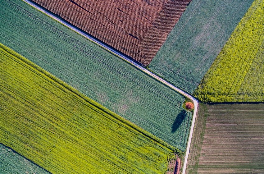  Una nuova mappa satellitare dei terreni agricoli di tutto il mondo