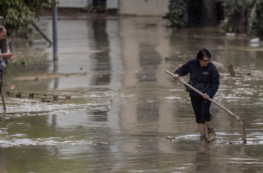  I numeri della crisi climatica in Italia nel 2024